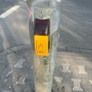 (주)승현시스템 | 독일 교환 일상