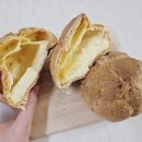 비엔씨학원 | 명동 롯데백화점 디저트 옵스 슈크림 빵 추천 내돈내산