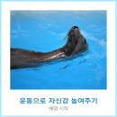 오션서퍼 광교점 | 초등 수영 강습 3개월 후기 진도는 어디까지 나갔을까