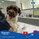 pet68더1816 | ✈️ 프리다 &amp; 디에고, 이집트 카이로에 무사히 도착했어요! 🇻🇳→🇪🇬