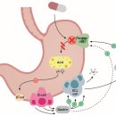 덕상한의원 이미지