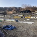 안해님농장 이미지