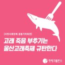 [시민사회단체 공동기자회견] 고래 죽음 부추기는 울산고래축제 규탄한다 이미지