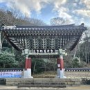 남도오백리역사숲길 | 달마고도_달마산 미황사 겨울여행