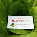 장화농장 이미지