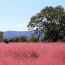 주식회사 신라시스템 이미지