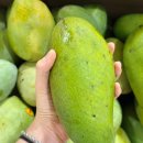 J&마트 | [인도네시아 여행 2일차] senayan city 맛집/카페 그리고 현지 마트 후기