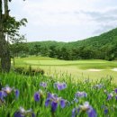 푸른잔디 이미지