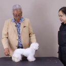 (주)에듀펫 이미지