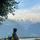 하이디민박 | 알프스소녀 하이디 스위스에 가다 - 인터라켄 융프라우 그린델발트