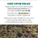 청정한일농장 네이버블로그