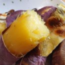 다감농장 이미지