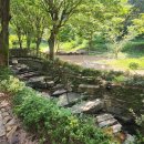 내서읍444 | [마산 카페] 마산 내서 숲속 통창뷰 신상 북카페 세시라기