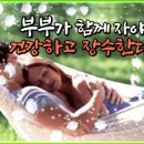 💖 부부가 함께 자야 건강하고 장수한다! 💖 이미지