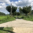 비내길 2구간 이미지