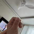 루소의숲유치원 이미지