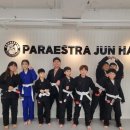 파라에스트라전하