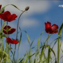 방배천로24길 38 이미지