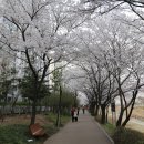 신안아파트후문 이미지