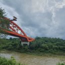 중간상사리 이미지