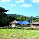 덕치리 초가 이미지