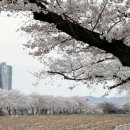 송해보건지소 이미지