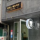 파파스베이커리 네이버블로그