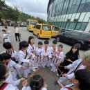 용인대 아리솔 태권도장 이미지