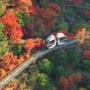야간라인업필라테스 | 2025 화담숲 단풍축제 - 서울 근교 단풍 명소 1위! 단풍절정코스 일정·예매 완벽 가이드