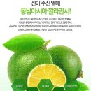 얼스팜