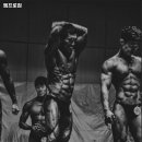 엠프로짐 네이버블로그