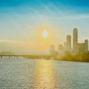 (주)문글로우 | 1월 세 번째 주 일상 및 메리설날