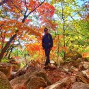 고려대학교 에너지환경대학원(그린스쿨) 이미지