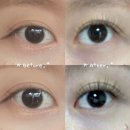 안양유지사료 | [범계 속눈썹] n 번, n 년 동안 다닌 내돈내산 유지력 긴 속눈썹 연장 ‘래쉬에이블‘ 추천 후기