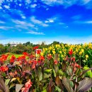 신흥공원 이미지