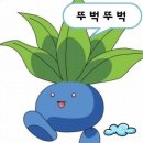 푸디푸디 - 271031 | 푸디푸디