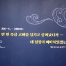 나랏말유통