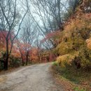 너릿재길2 이미지