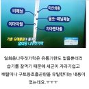 나무젓가락 이미지