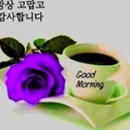 🌷새해 계획에 관한 명언🌷 이미지