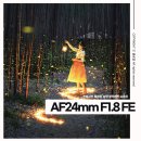 갈골 | 삼양렌즈 AF 24mm F1.8 FE + 소니 A7M3 사용후기