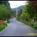 성불사길 이미지