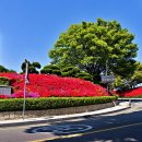 옥천 공설테니스장 이미지