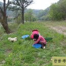 산골네