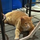 산성대로249번길 이미지