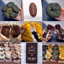 부산 빵지순례 더베이&amp;서희와제과 오픈런 1등 후기 / 더베이 vs 서희와제과 팥빵 비교 / 주말 토요일...