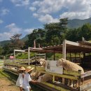 송남목장 이미지