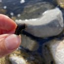 단석리산촌생태마을 이미지