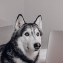 이상마케팅 이미지