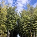 이상목장 | 제주 대한목장 홀리랜드, 아이와 함께 스냅 촬영 대만족 후기